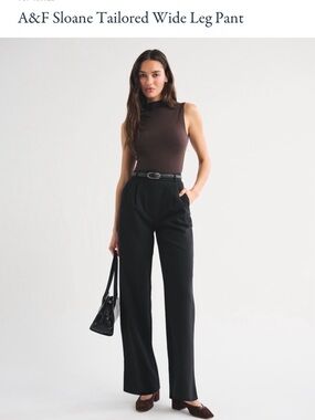 Abercrombie & Fitch Sloane Tailored Wide Leg Pant - Black 29 8R